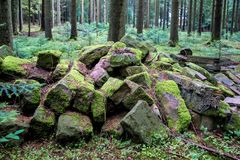 Vermooste Steine im Wald von Seewald-Besenfeld