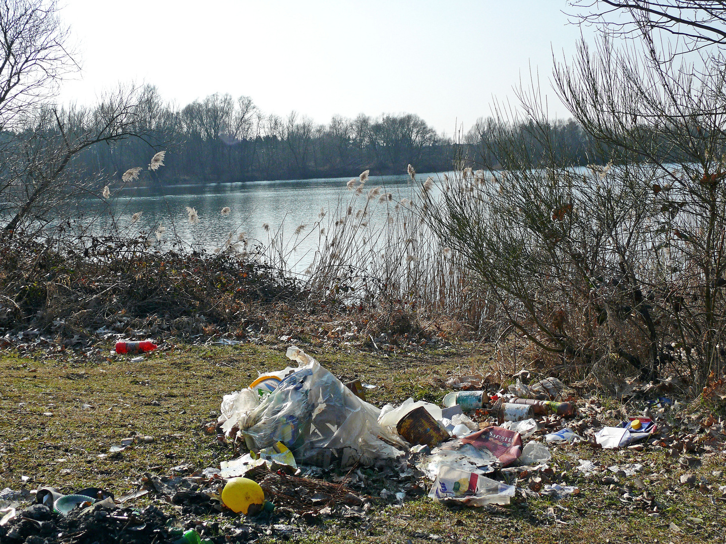 Vermüllung Foto & Bild sonstiges, ge zerstörte natur, natur Bilder