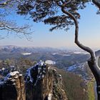 Vermutlich gab es vor dem Christfest nur den einen Tag mit Sonne und Schnee auf der Bastei...