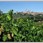 vernaccia , prima che finisca in bottiglia.....