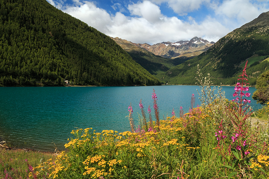 Vernagtsee Ende August