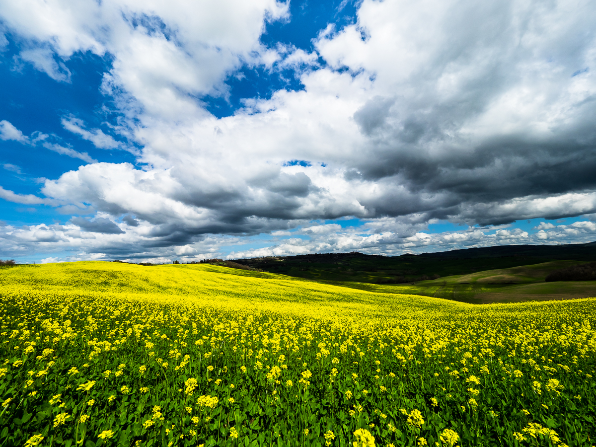 vernal clouds