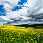 vernal clouds