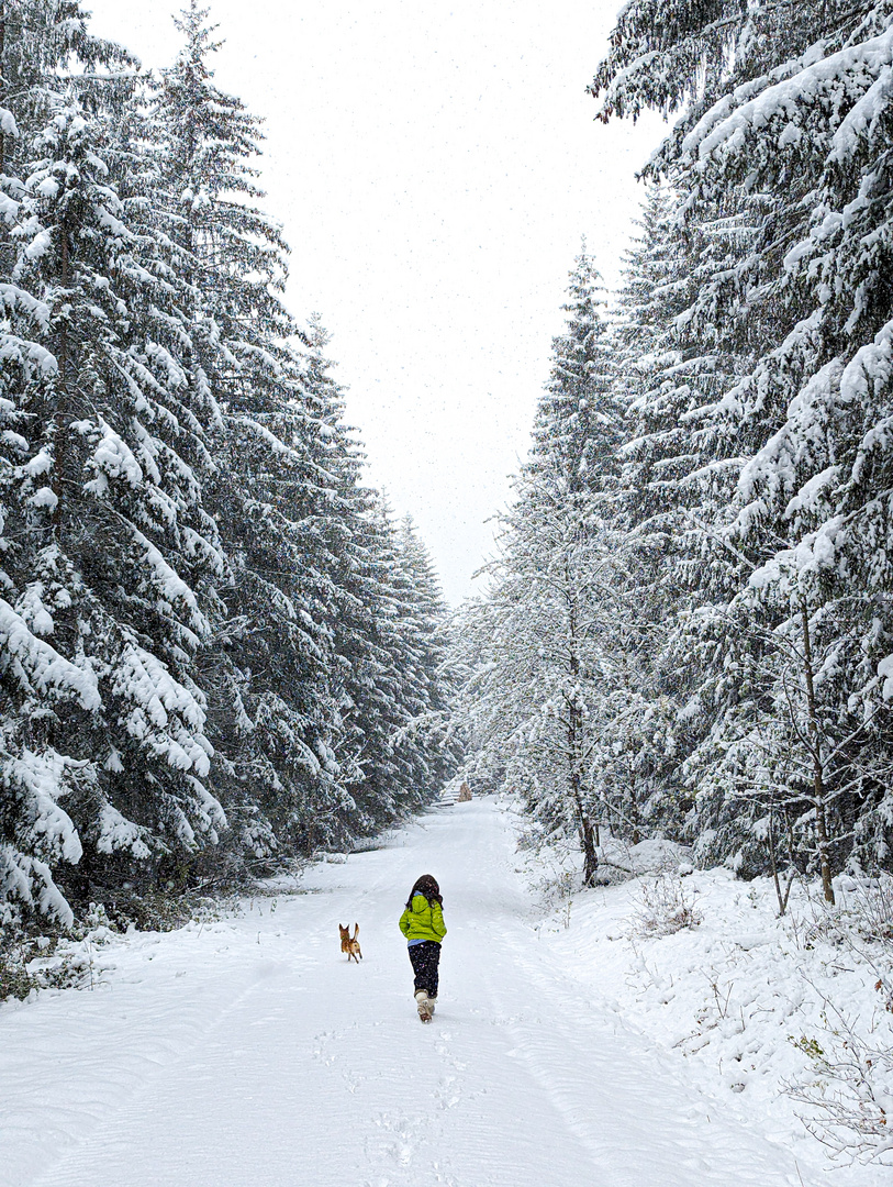 Vernal snow walk