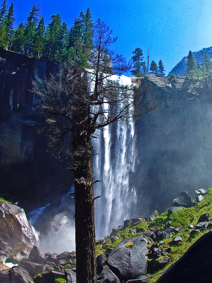 Vernall Fall