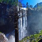 Vernall Fall