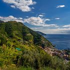 Vernazza