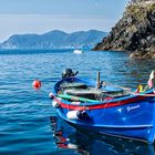 Vernazza