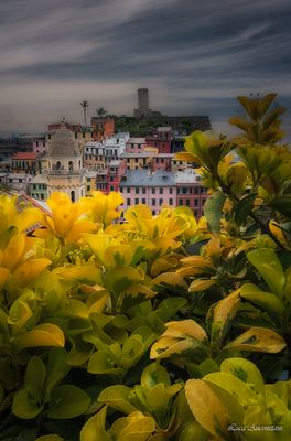 Vernazza in mezzo ai fiori