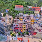 Vernazza mit Palme