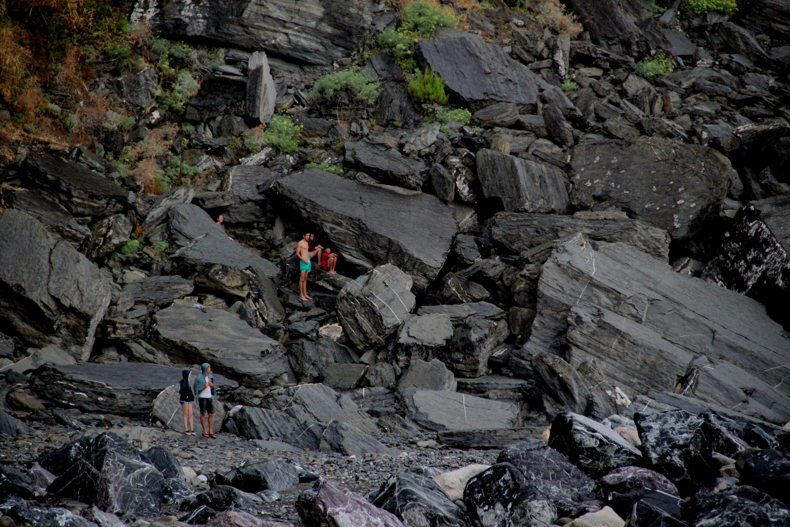 Vernazza (SP)