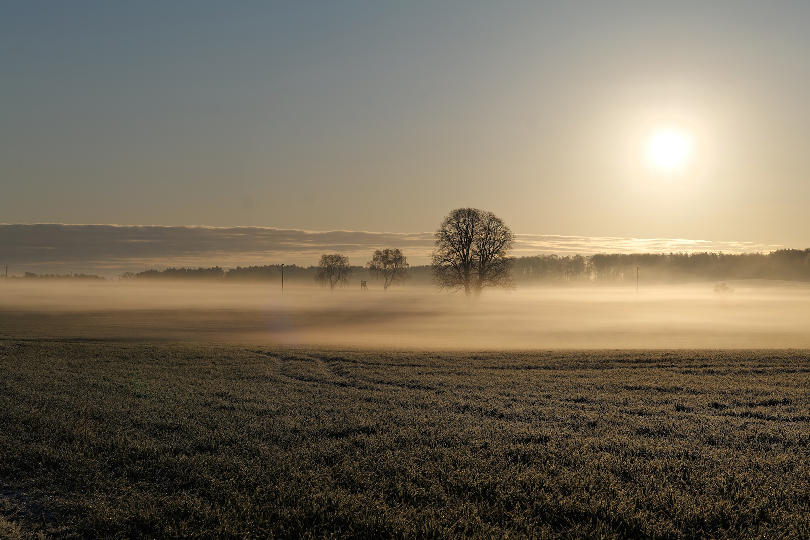 Vernebelt