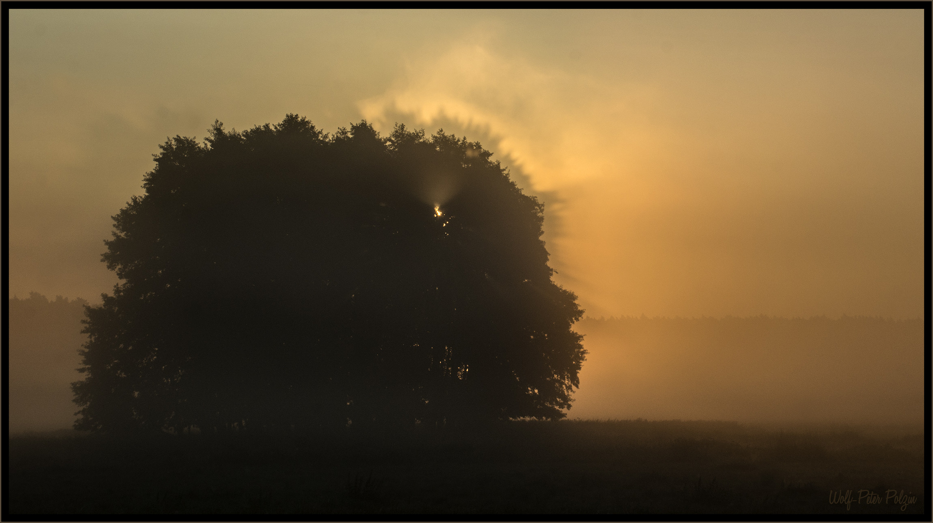 Vernebelt: Gegenlichtschatten