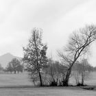 Vernebelte Landschaft