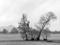 Vernebelte Landschaft