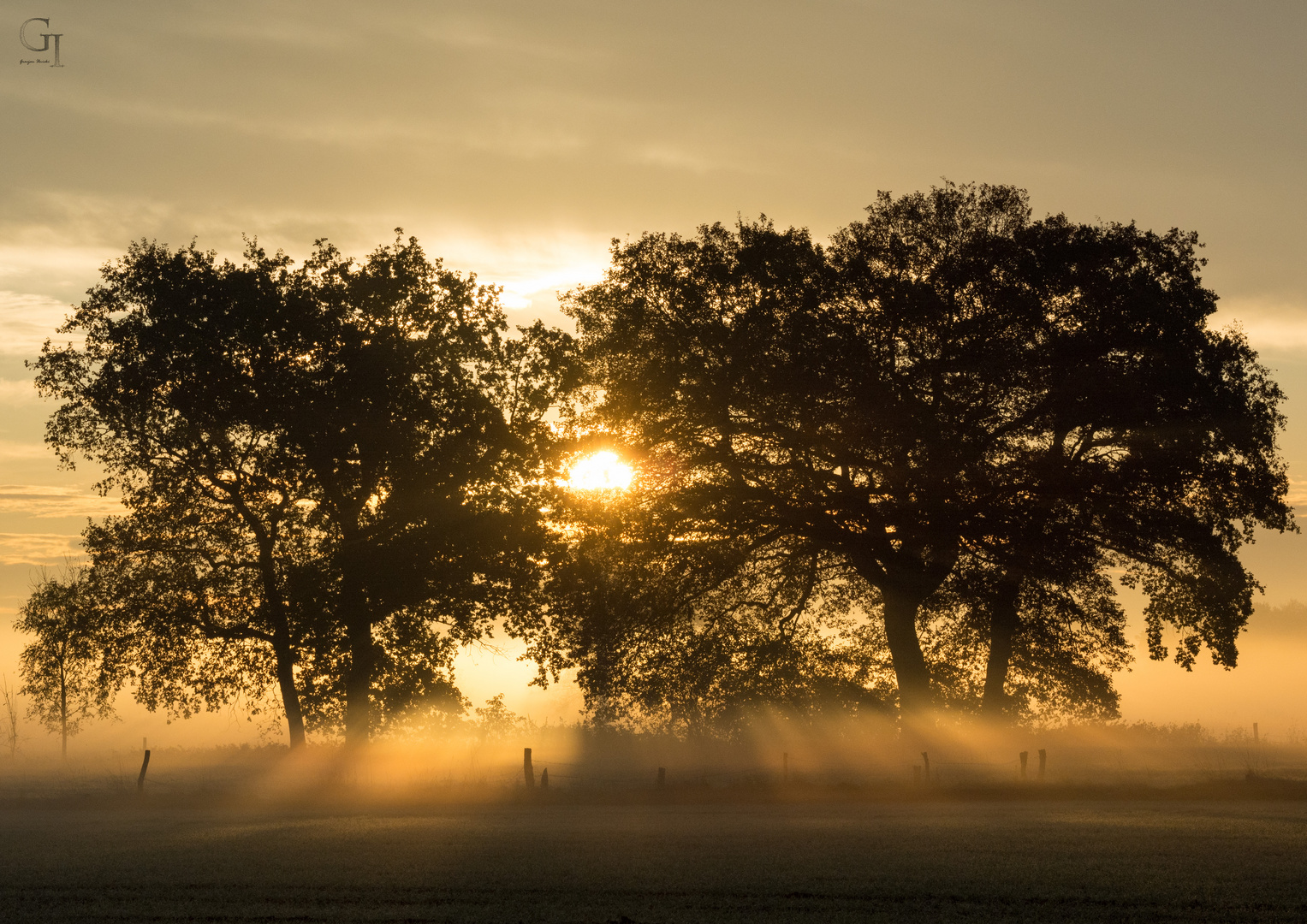 vernebelte Morgensonne