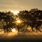 vernebelte Morgensonne