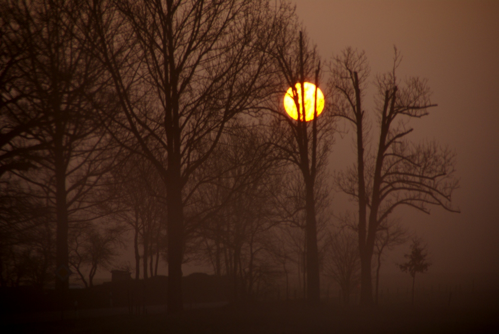 Vernebelte Morgensonne