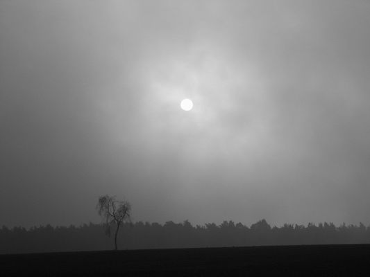 vernebelte Wintersonne