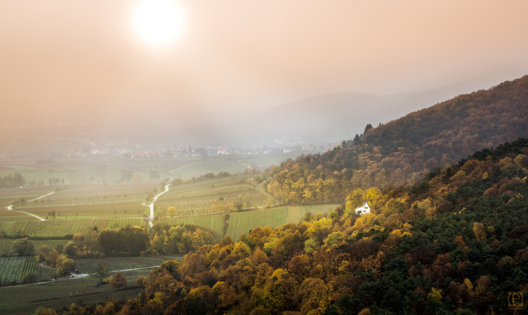 Vernebelter Ausblick vom Schloß