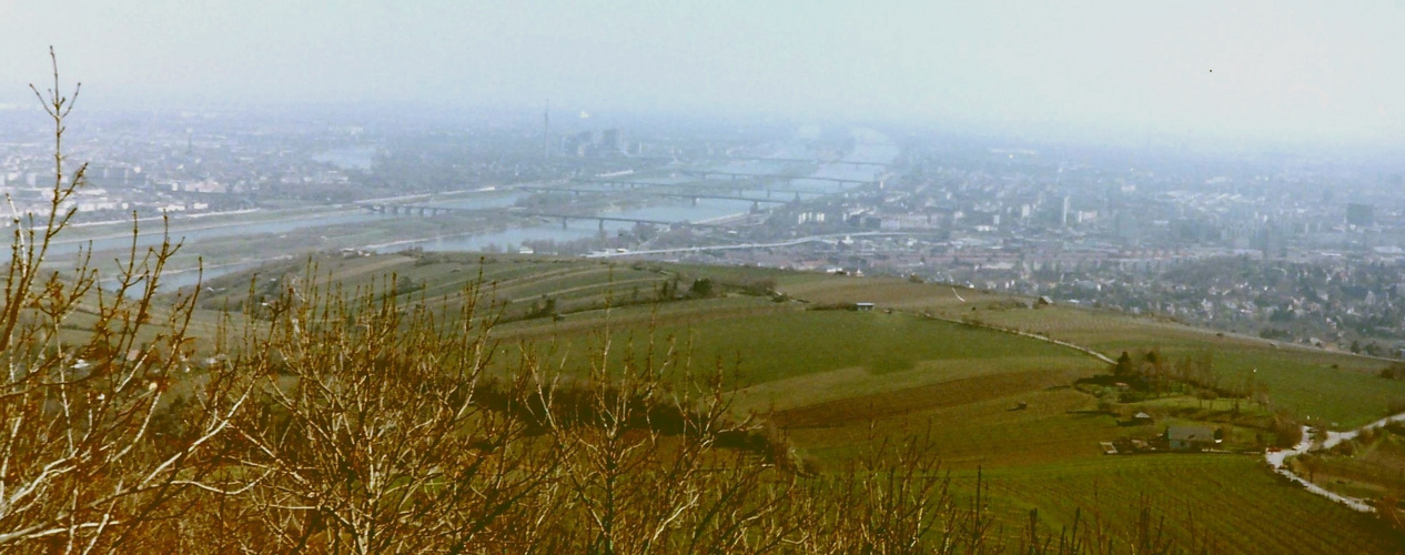 Vernebelter Blick auf Wien  vom Kahlenberg.