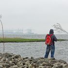 VERNEBELTER BLICK ZURÜCK NACH BREMERHAVEN