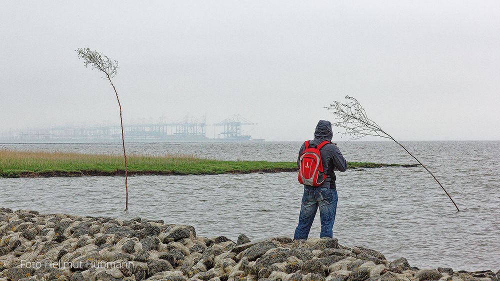 VERNEBELTER BLICK ZURÜCK NACH BREMERHAVEN