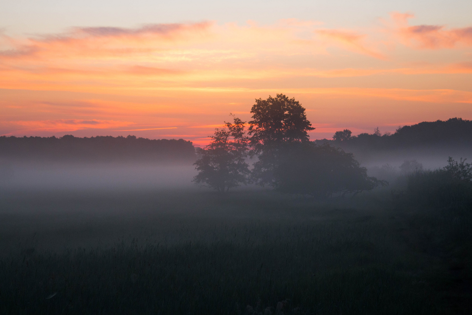 Vernebelter Morgen