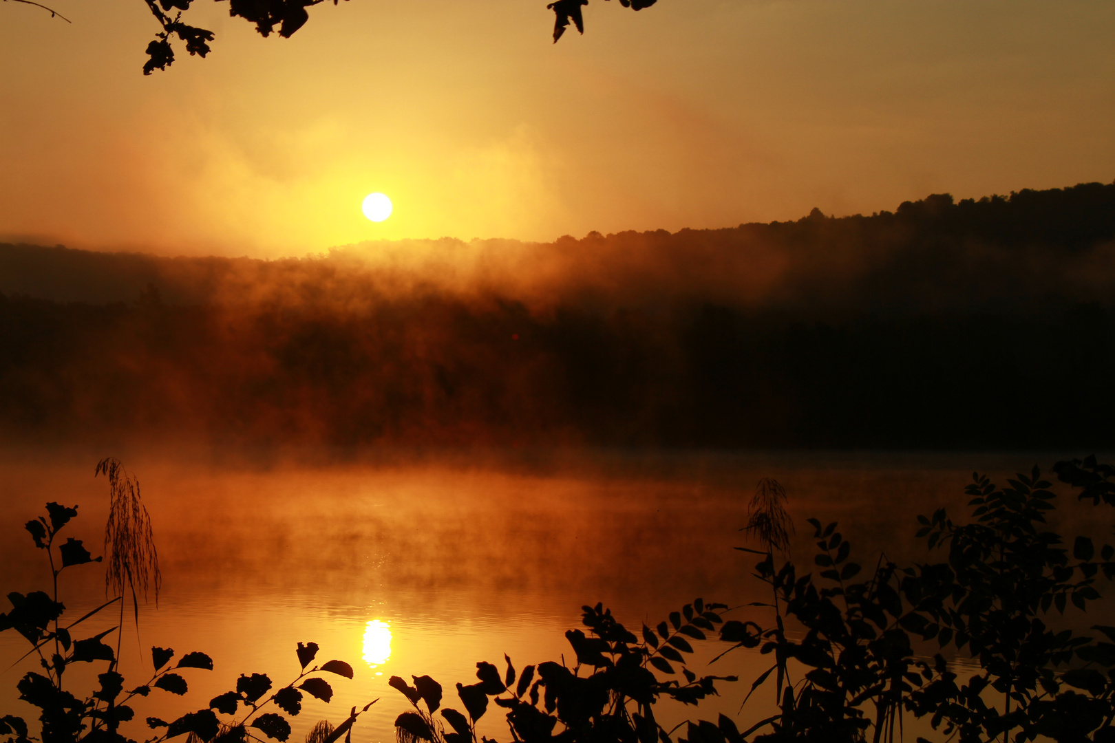 Vernebelter Sonnenaufgang am See...