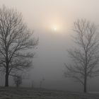 Vernebelter Sonnenaufgang am Zirkelberg - Böhmische Schweiz