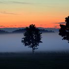 Vernebelter Sonnenuntergang zum Zweiten