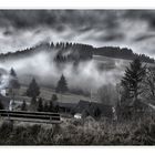 vernebeltes Sauerland