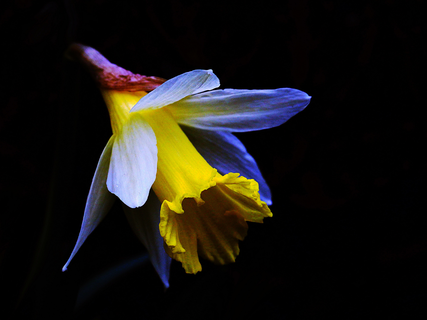 Verneigung vor dem Frühling