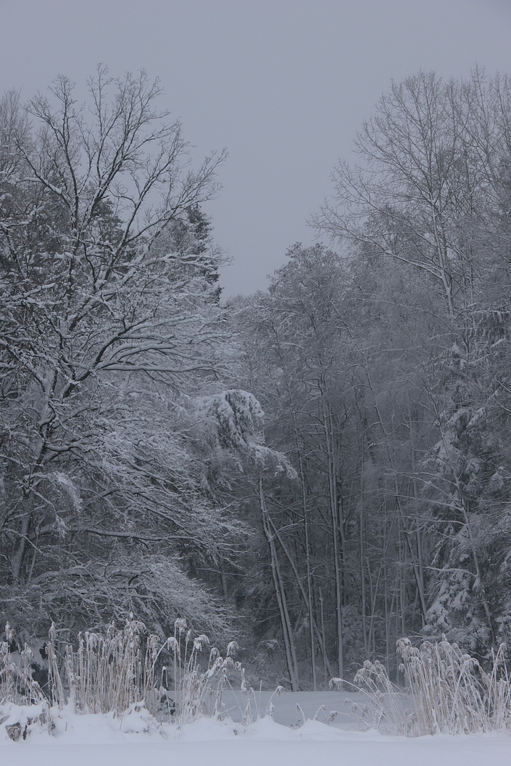 Verneigung vor dem Winter