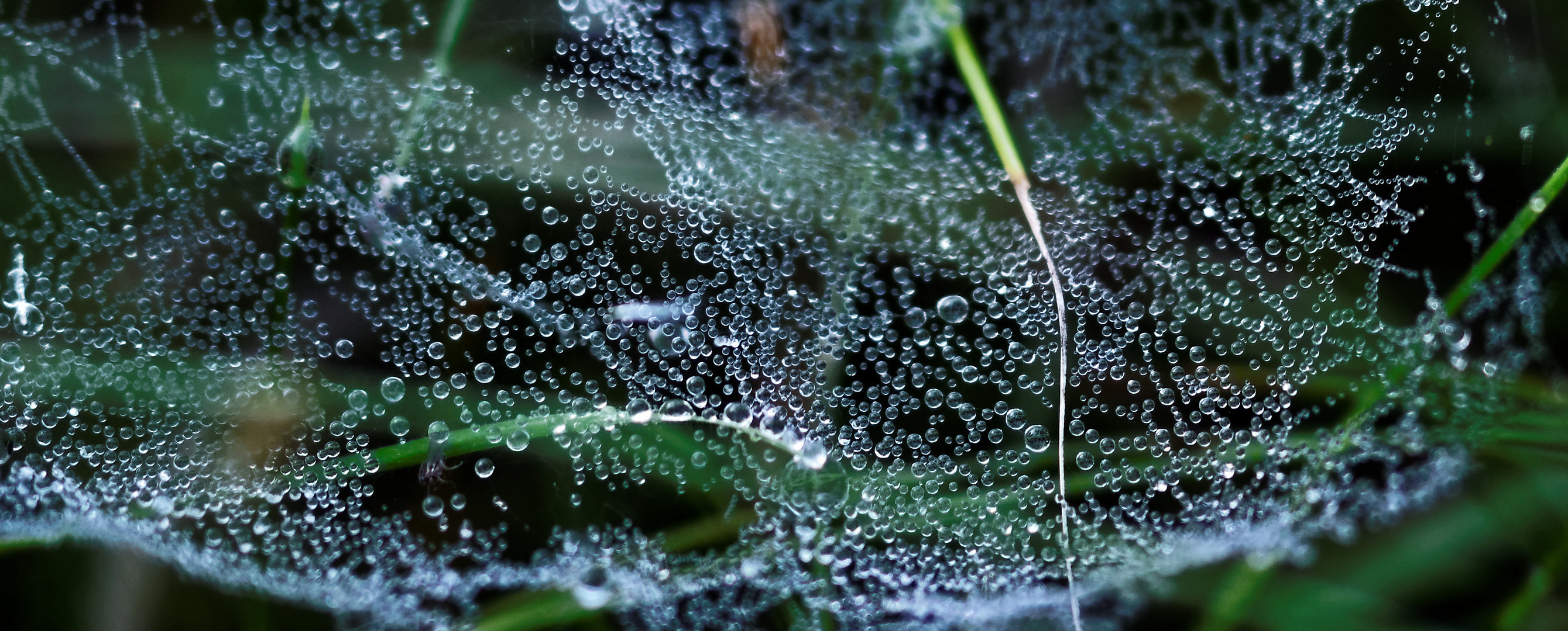 Vernetzte Wassertropfen