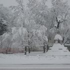 Vero Monumento Alla Madre Natura