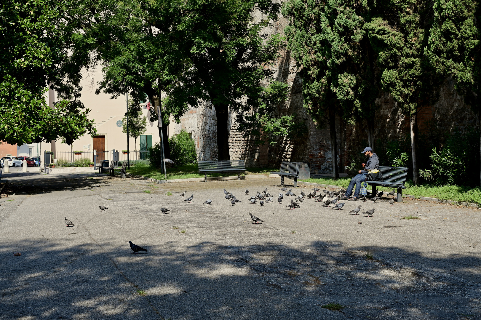 Verona Backstage