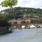 Verona