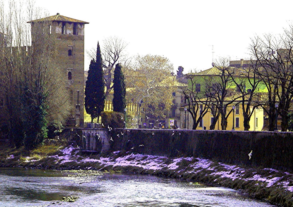 Verona passeggiata d'Inverno 1