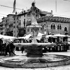 Verona, Piazza Erbe, la fontana