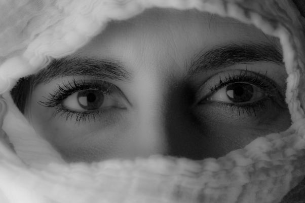 Veronica Occhi mediterranei b.n.