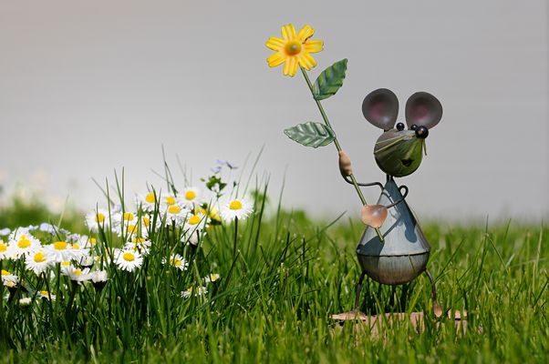 Verooooooonika . . . 