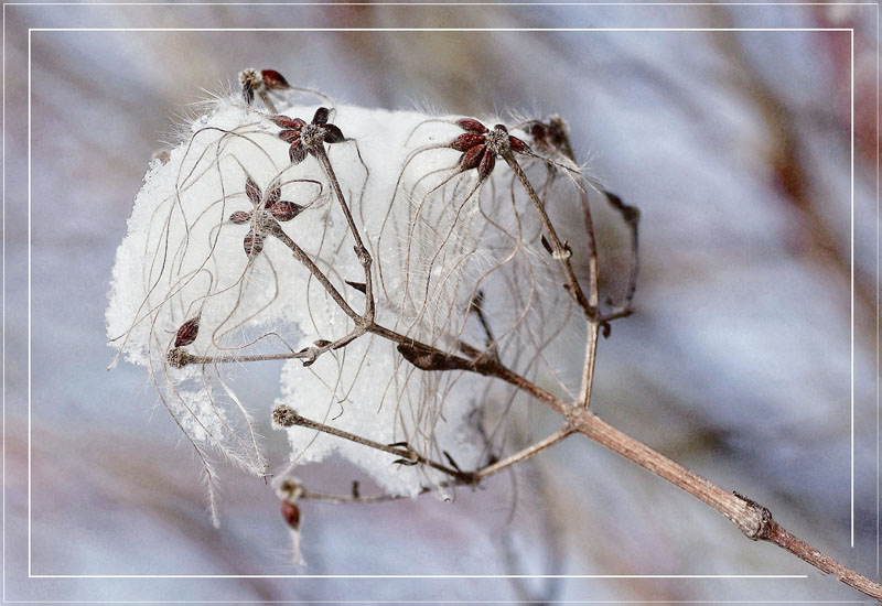 Verpackter Schneeball