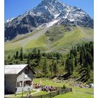 Verpeil-Hütte im Kaunertal