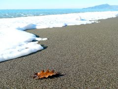 verrà ghermita dal mare