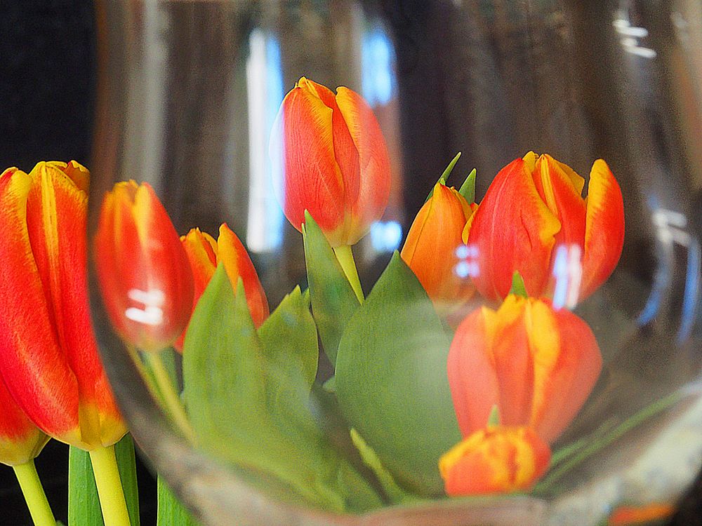 Verre aux tulipes et non verre tulipe… !