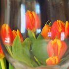 Verre aux tulipes et non verre tulipe… !