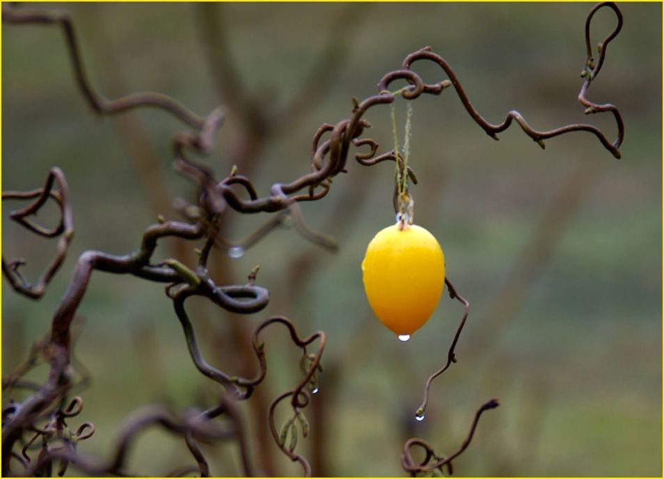 Verregnete Ostertage ???