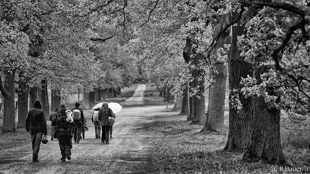 verregneter Fotoworkshop