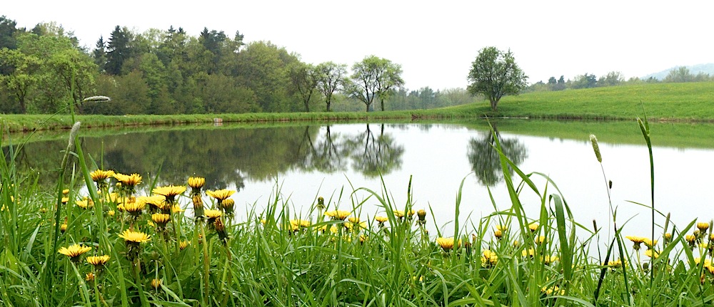 Verregneter Frühlingstag